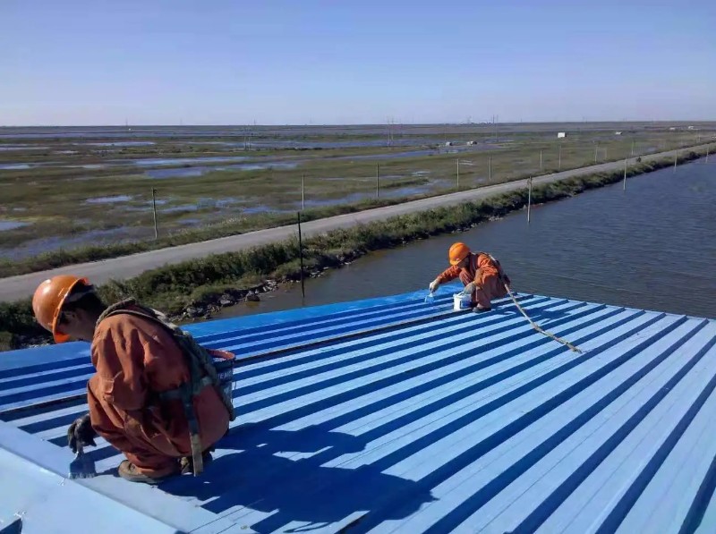 鄄城彩钢瓦屋面防腐翻新